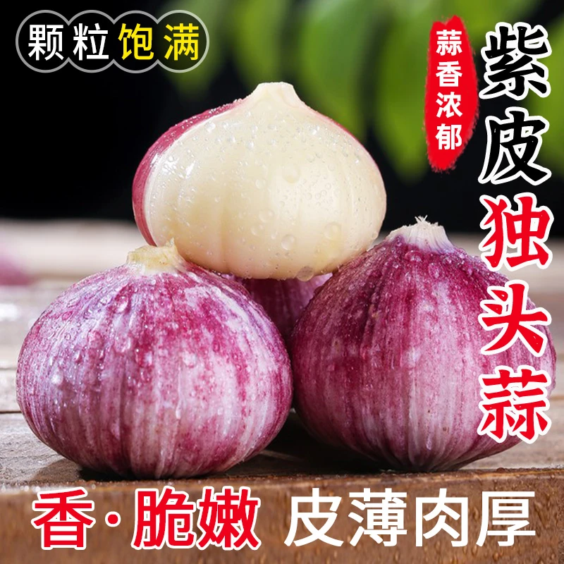 云南紫皮独头蒜新鲜大蒜头湿蒜农家自种调味当季时令蔬菜产地直发