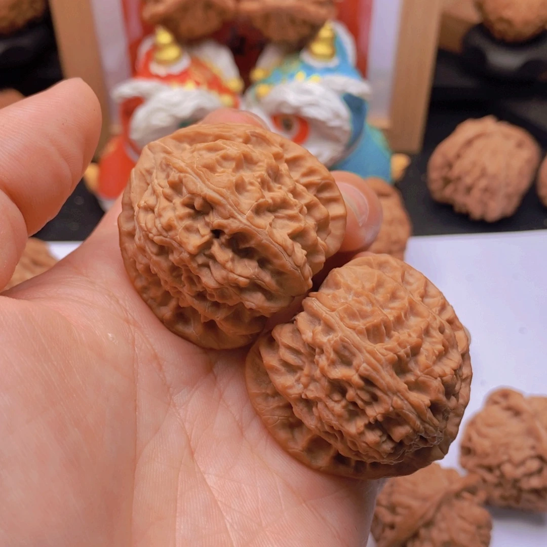 物***华40尺全品老树三角白A559