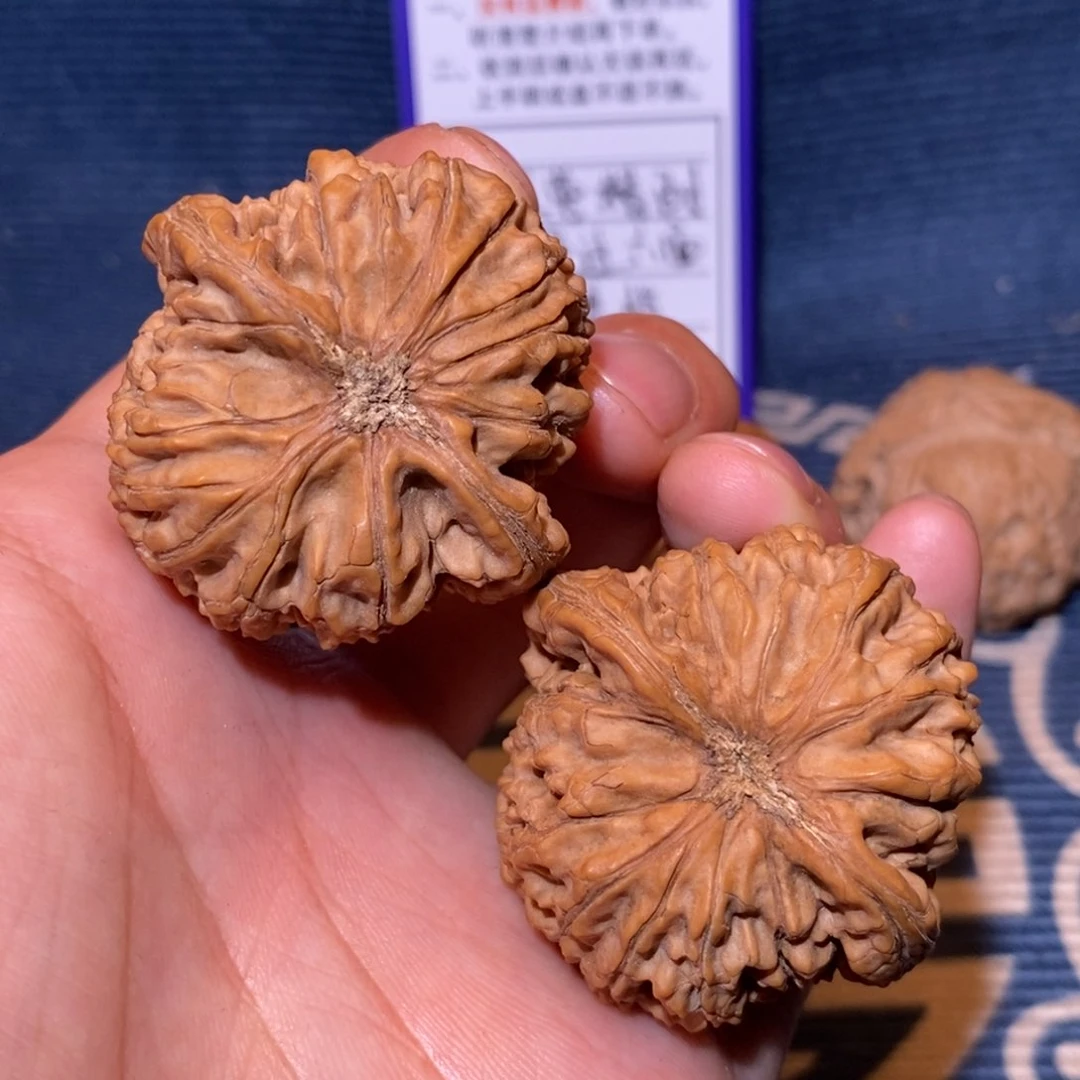 41尺 全品无修白茬 水龙纹