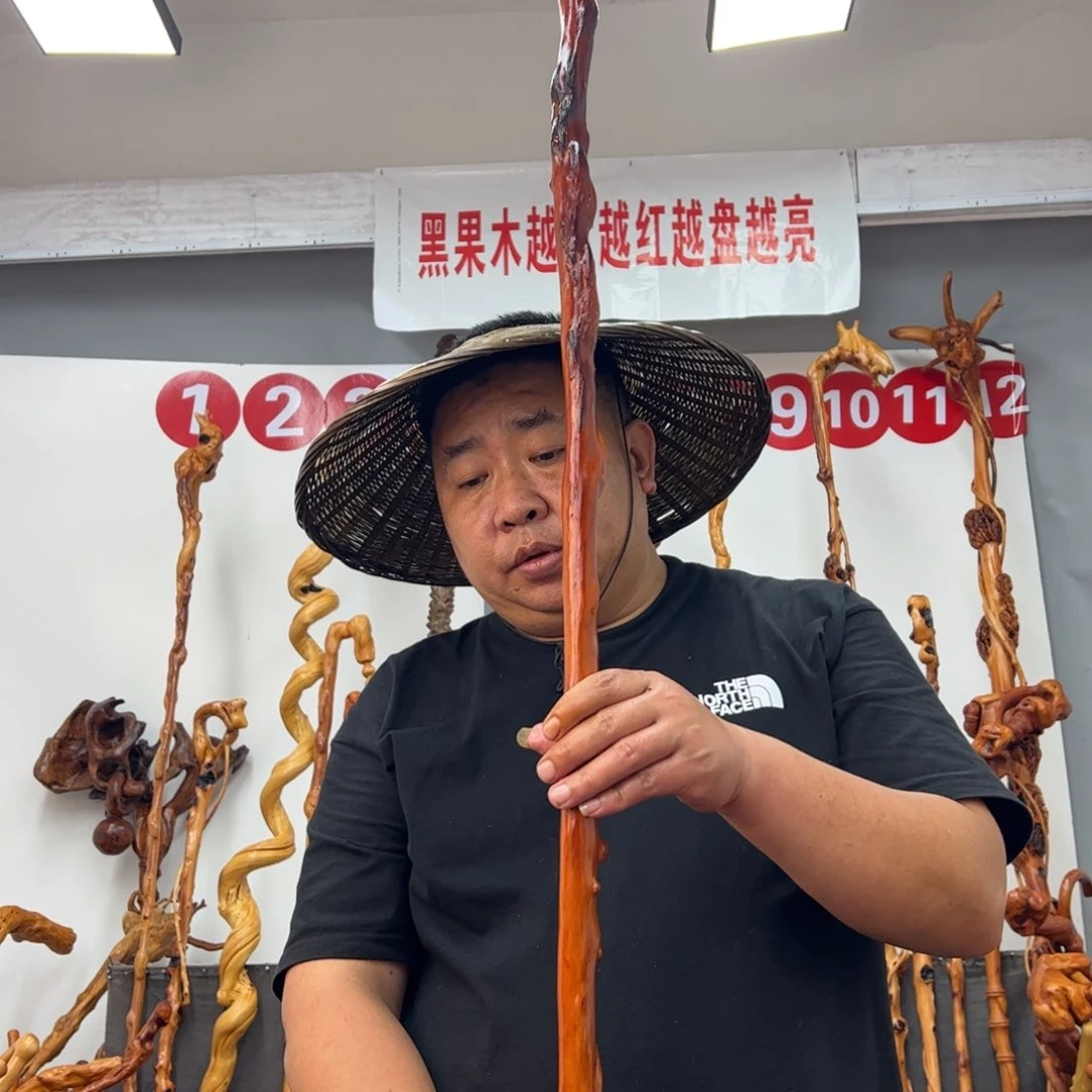 黑果木其他黑果木916