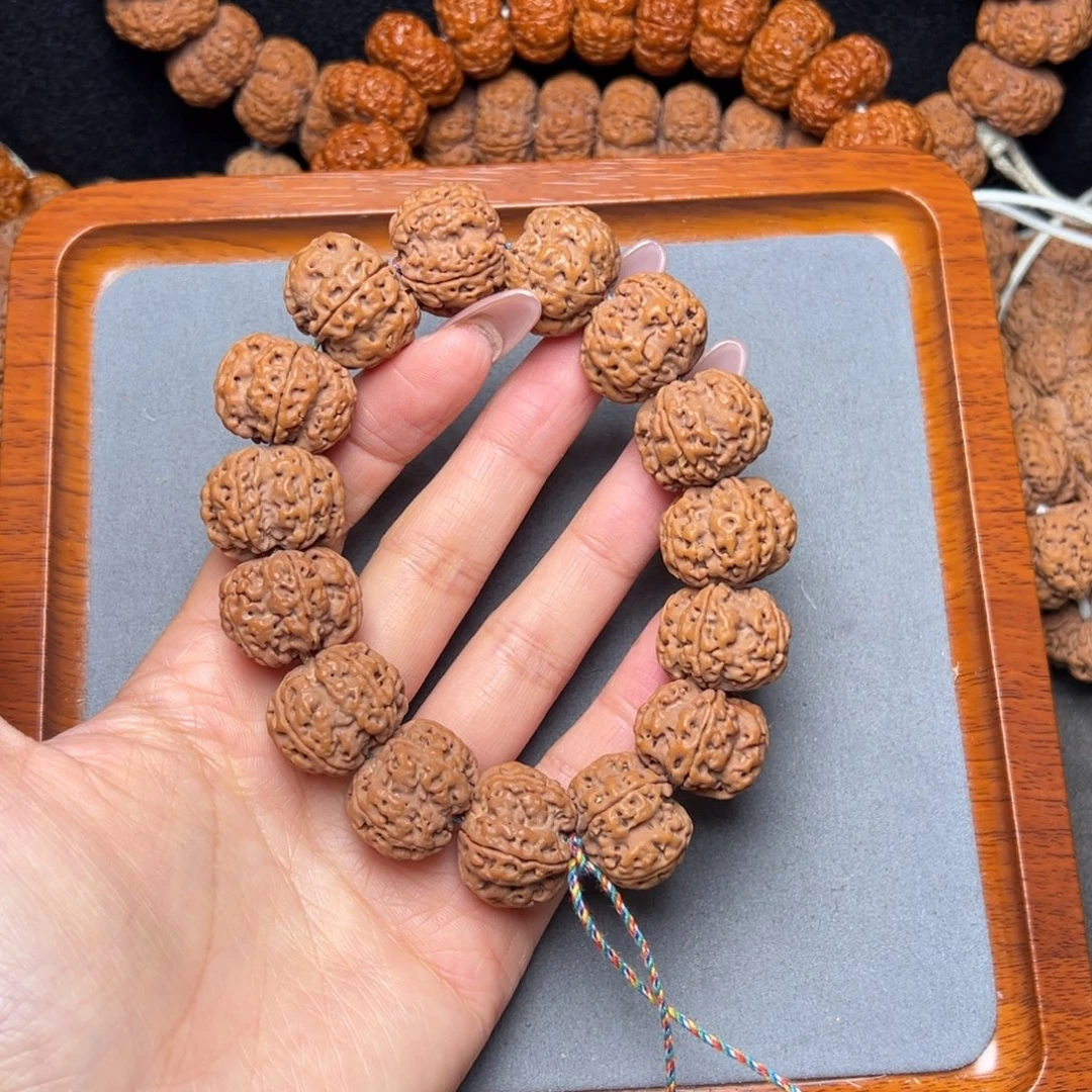 菩提7号金刚菩提粗筋梅花22