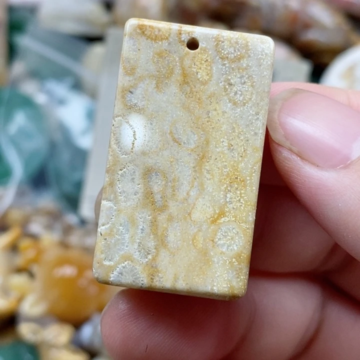 硅化珊瑚（珊瑚玉）未镶嵌颈饰有瑕 小