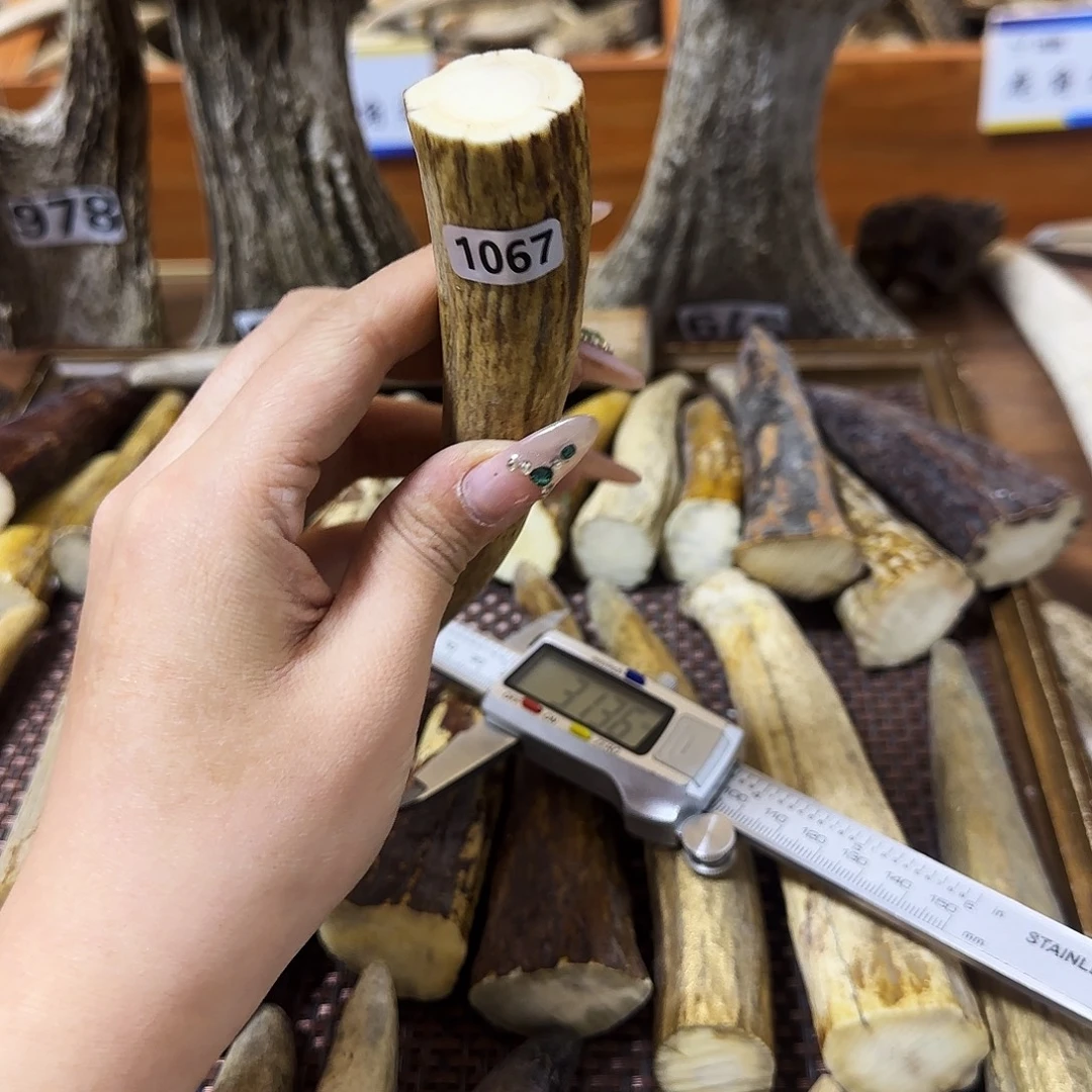 手串/手链鹿骨1067角尖