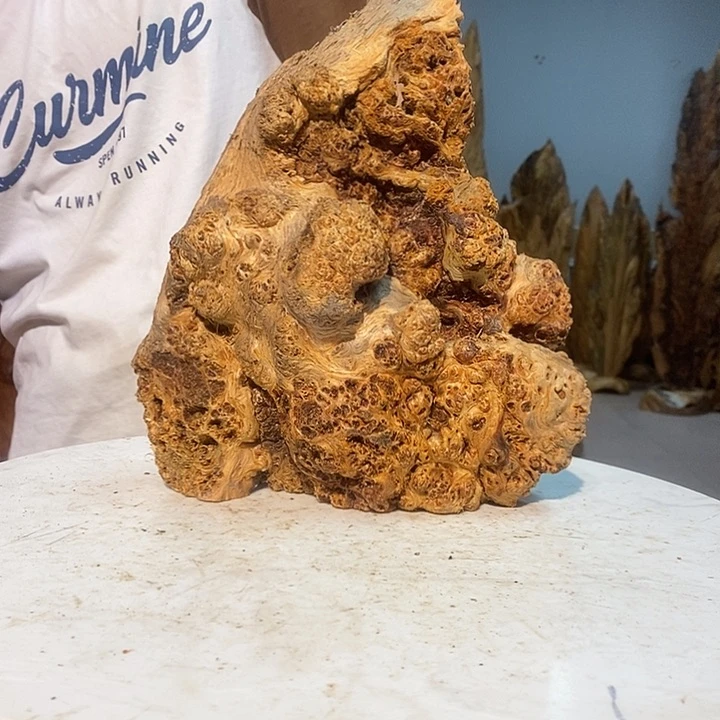 缘***啊我们都是你的粉丝24