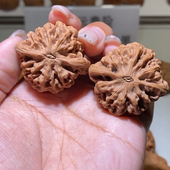 峥***嵘手串/手链核桃亲们