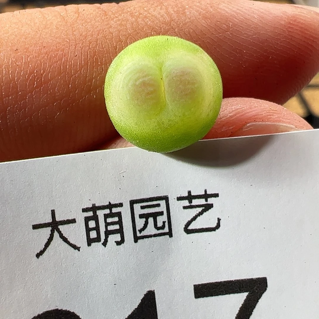 0000一物一拍……617