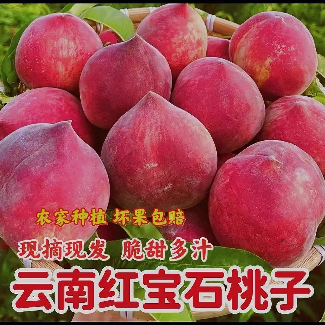 Y【开园福利】云南红宝石水蜜桃现摘现发露天水果