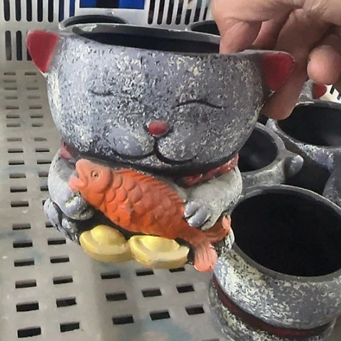 ·当场直播凑9发·慎拍·全是福利·