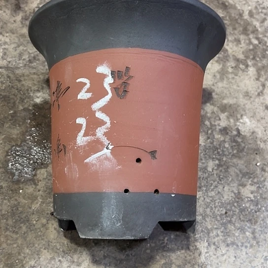 紫砂工艺厂……紫砂工艺厂……