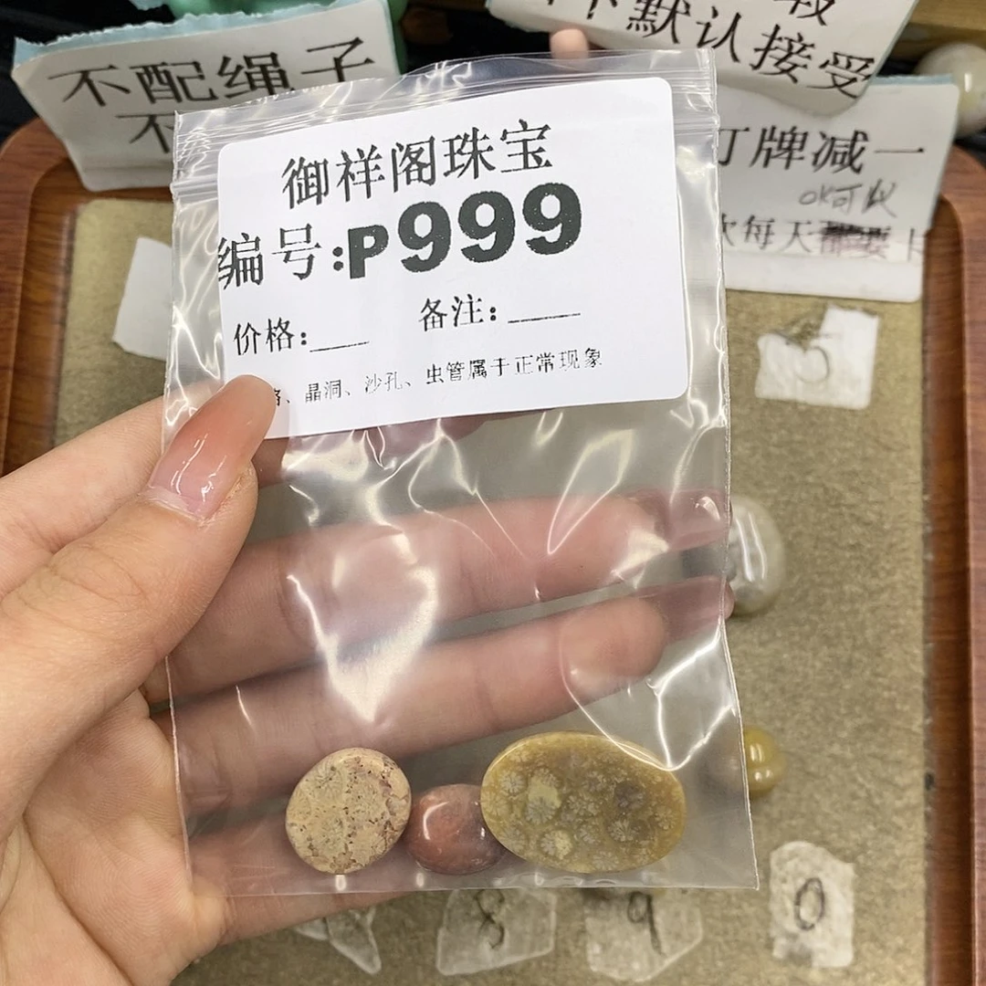 硅化珊瑚（珊瑚玉）未镶嵌颈饰1*2