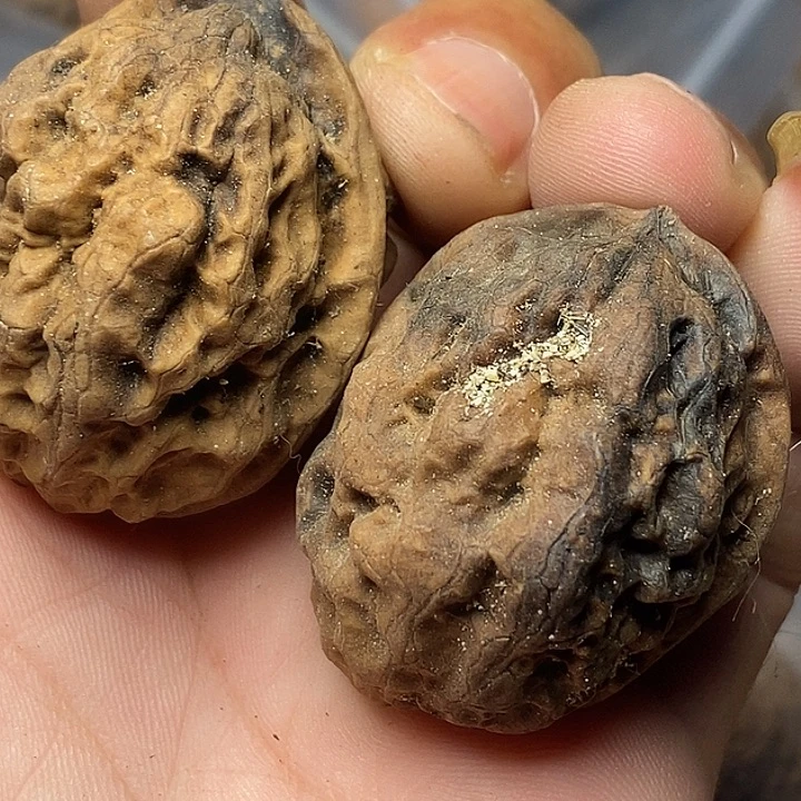 文玩核桃把件云南铁核桃46