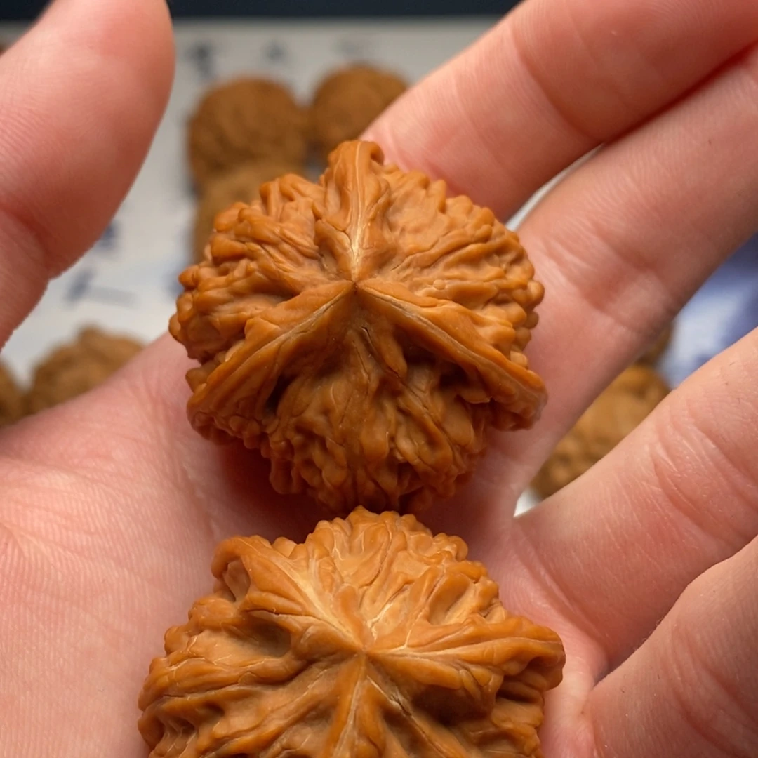 灵***海文玩核桃把件御龙