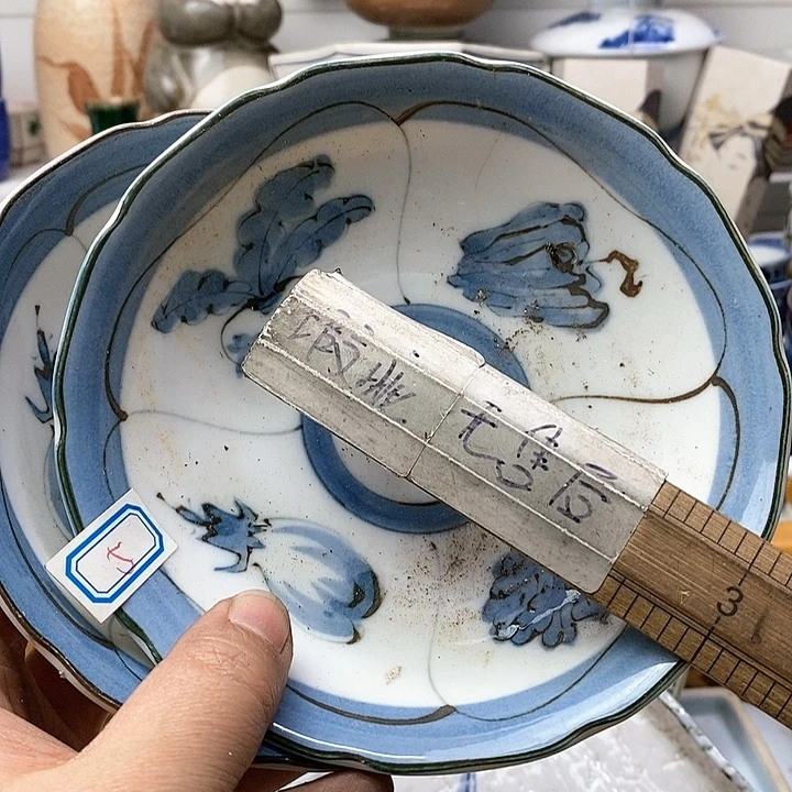 瓷片美***律这个充满生机又神秘美丽之时