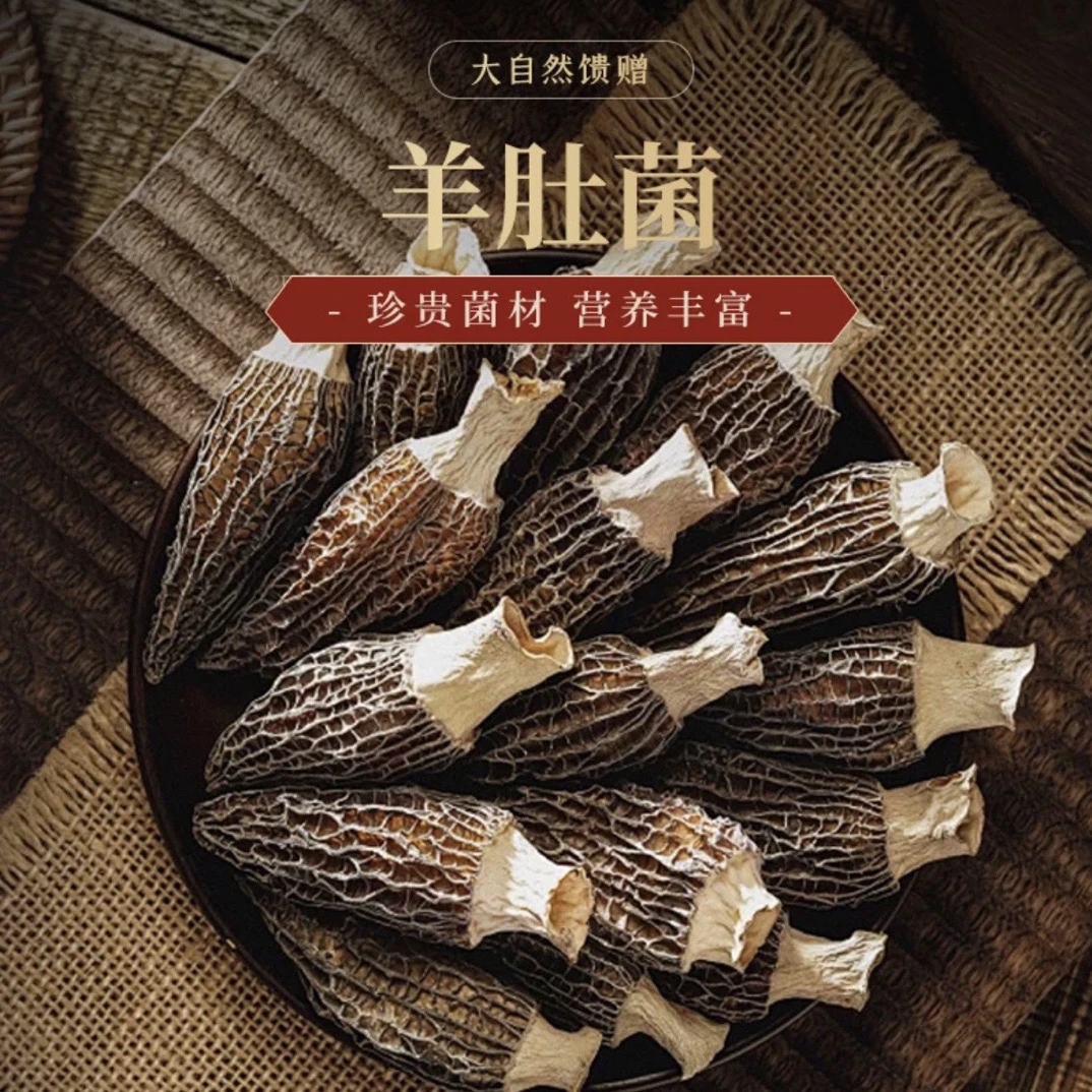 【羊肚菌】-高山羊肚菌肉厚营养丰富