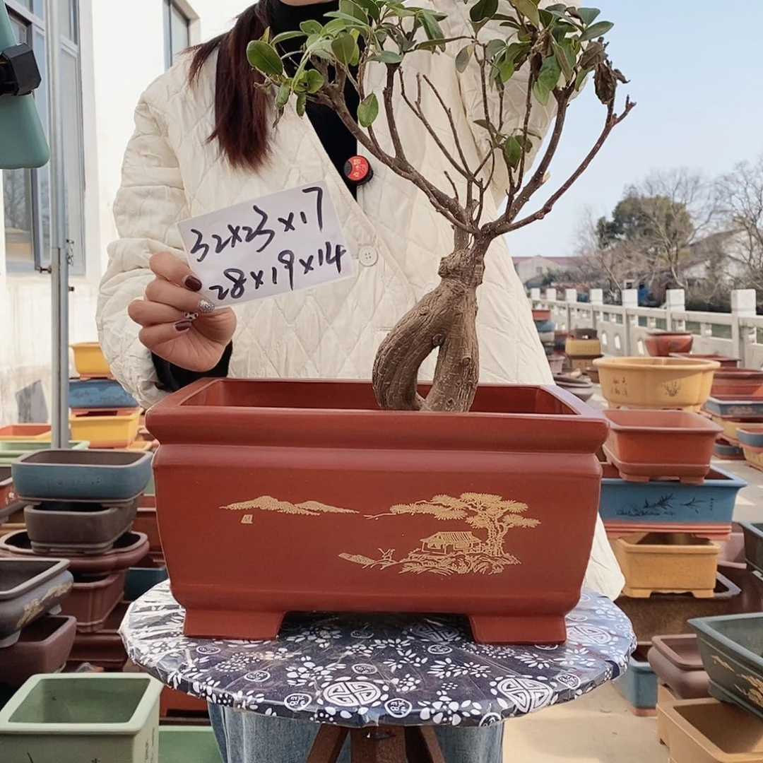 紫砂花盆紫砂花盆