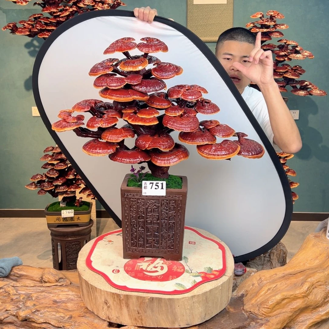 无花朵88888888888