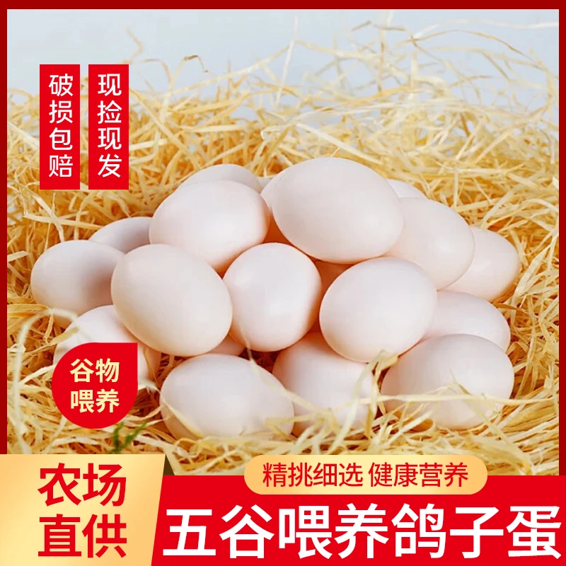 破损包赔宝宝营养新鲜鸽子蛋五谷杂粮土鸽蛋30枚个装特级鸽子蛋