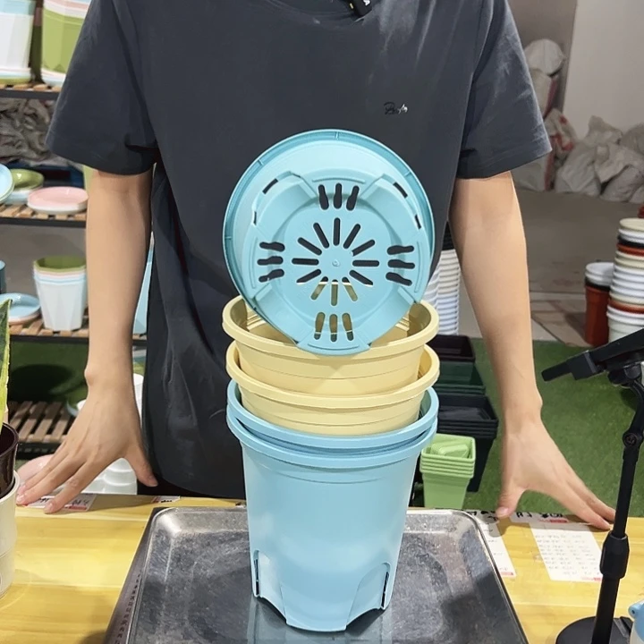 特价圆控口18高18混色无托5只