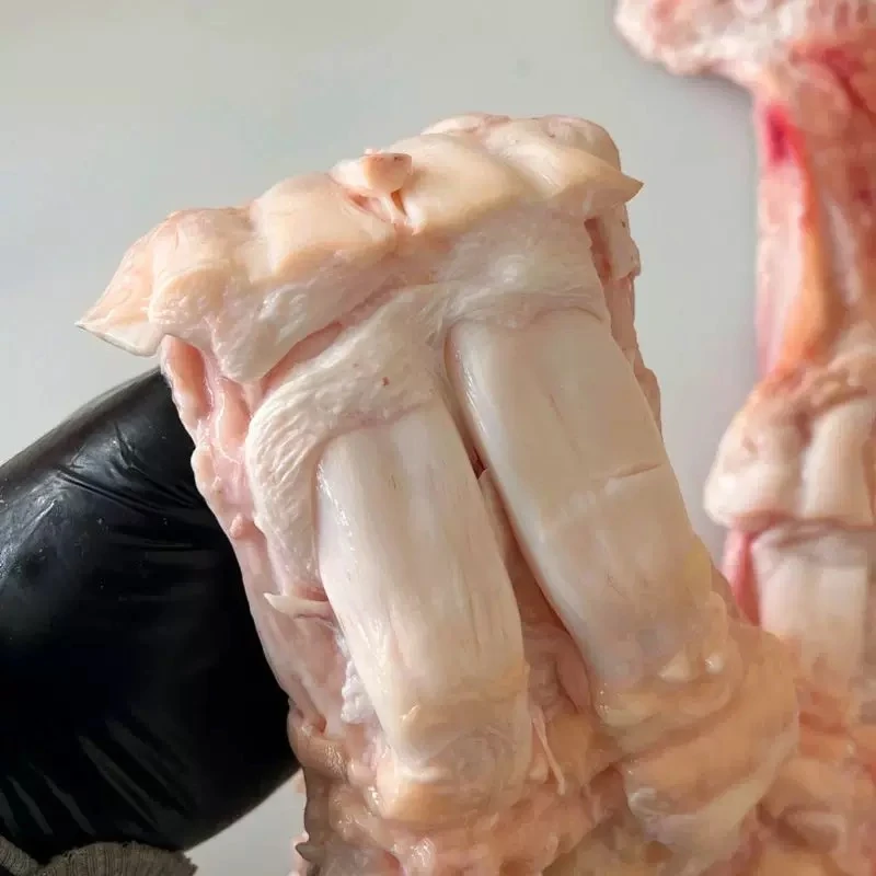 新鲜牛蹄筋农家散养小黄牛蹄筋不泡水不漂白无添加生鲜红烧炖汤