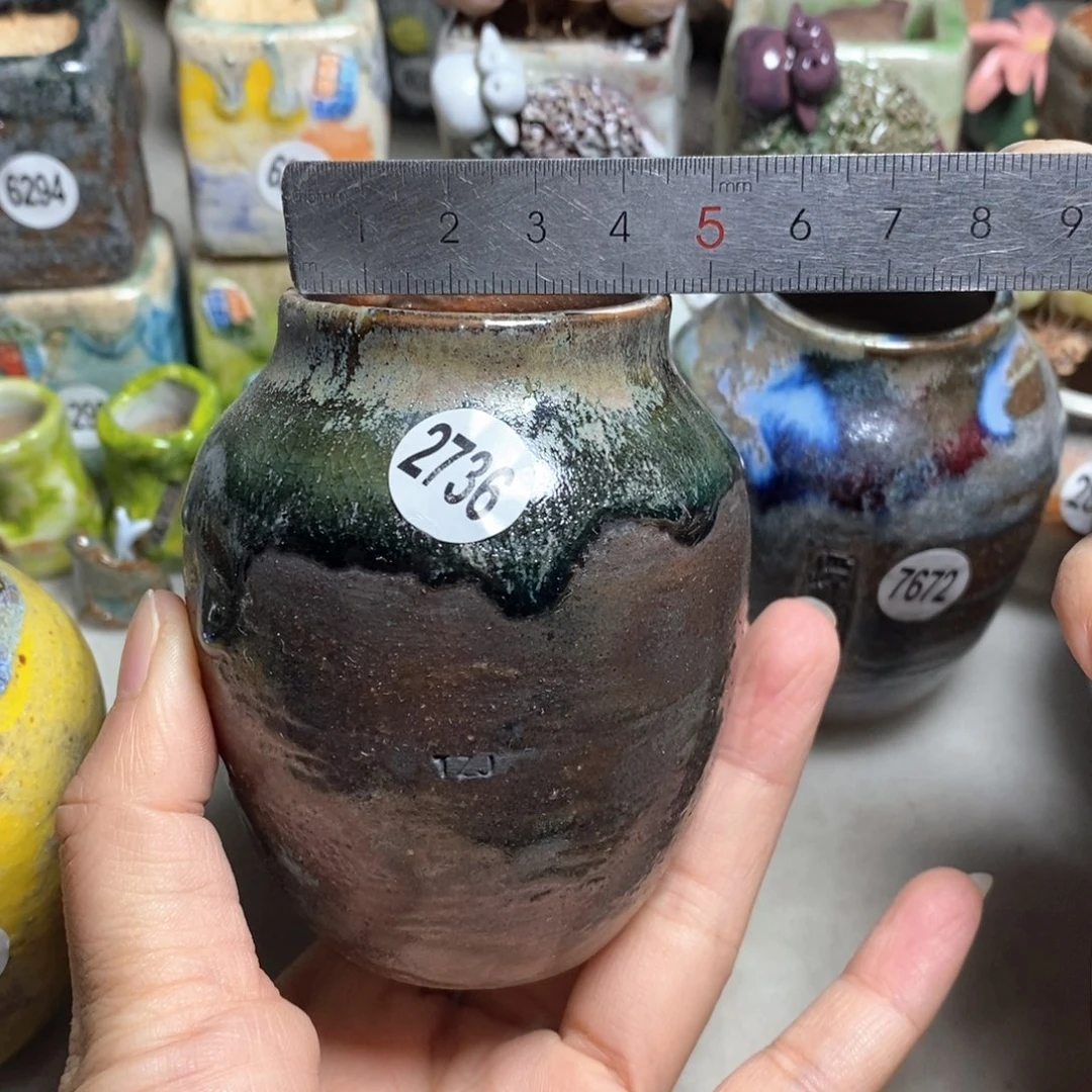 拍5送一个小礼物