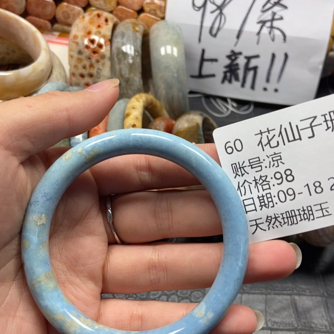 凉***未镶嵌硅化珊瑚（珊瑚玉）珠宝半成品60