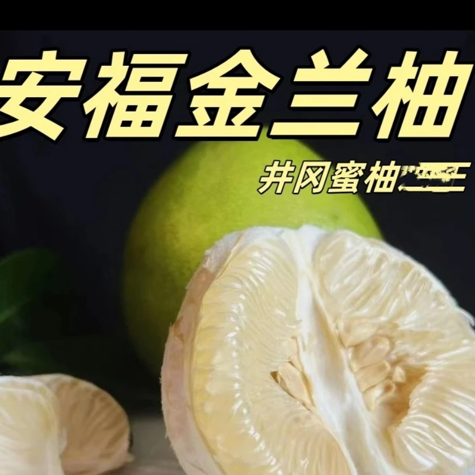 包邮江西吉安井冈金兰柚安福蚕子新鲜现摘皮薄江西安福横龙金兰柚