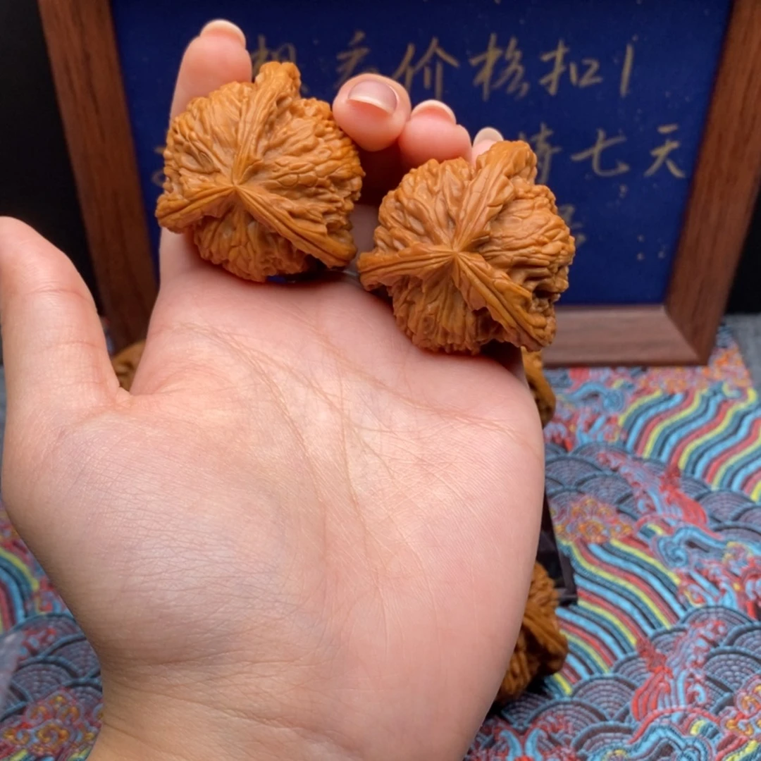 【闪购商品】我***呦白狮