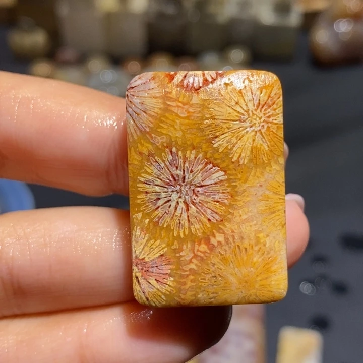 【闪购商品】未镶嵌珊瑚玉硅化玉