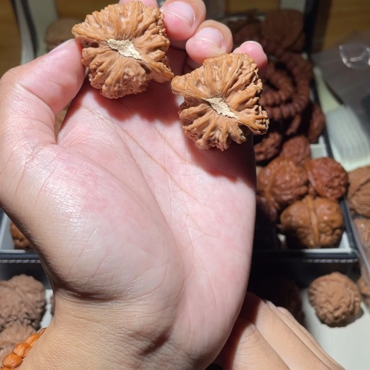 41尺寸全品无修密纹狮子头