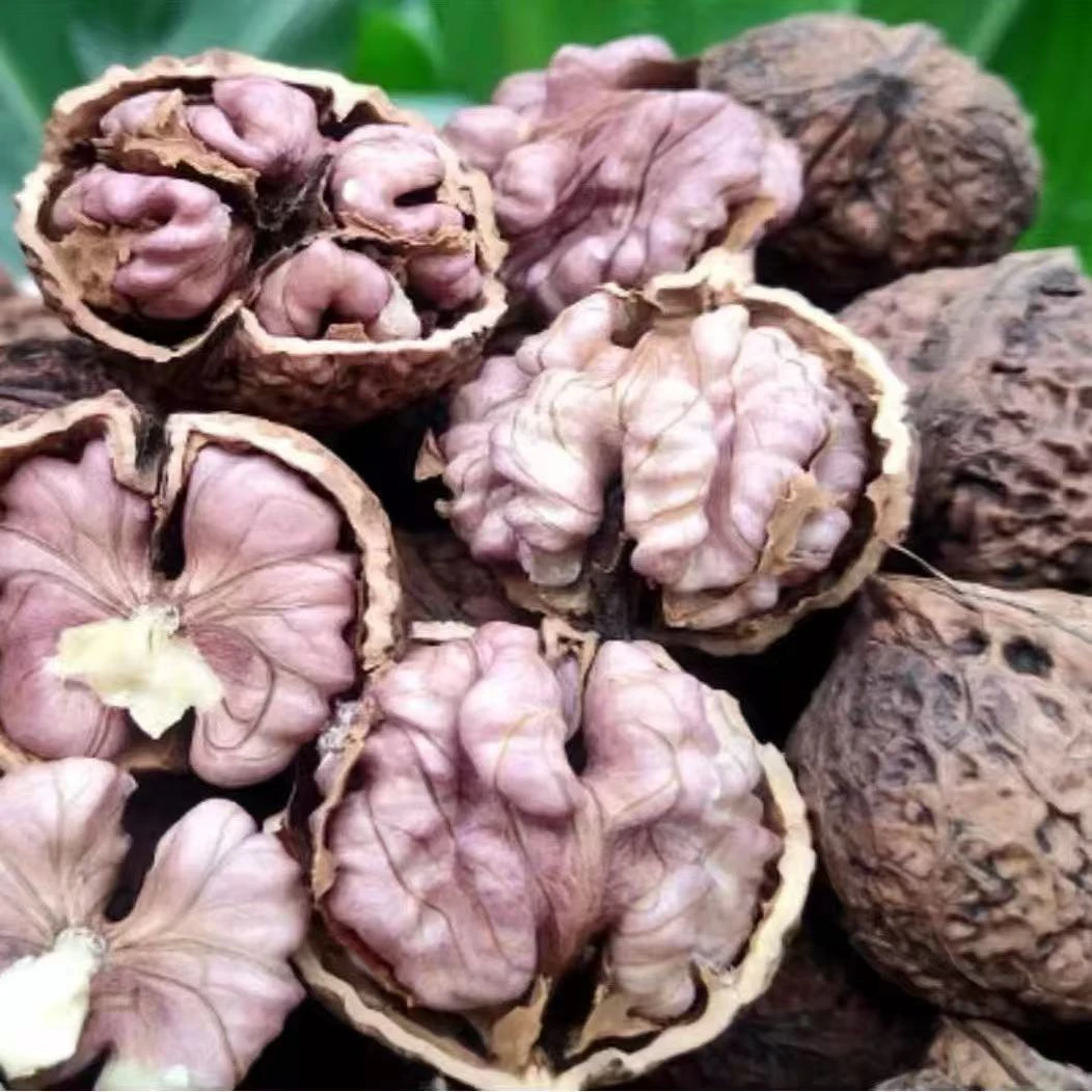 【顺丰包邮】大凉山老树鲜核桃湿核桃紫米娘亲去青皮孕妇水果核桃鲜