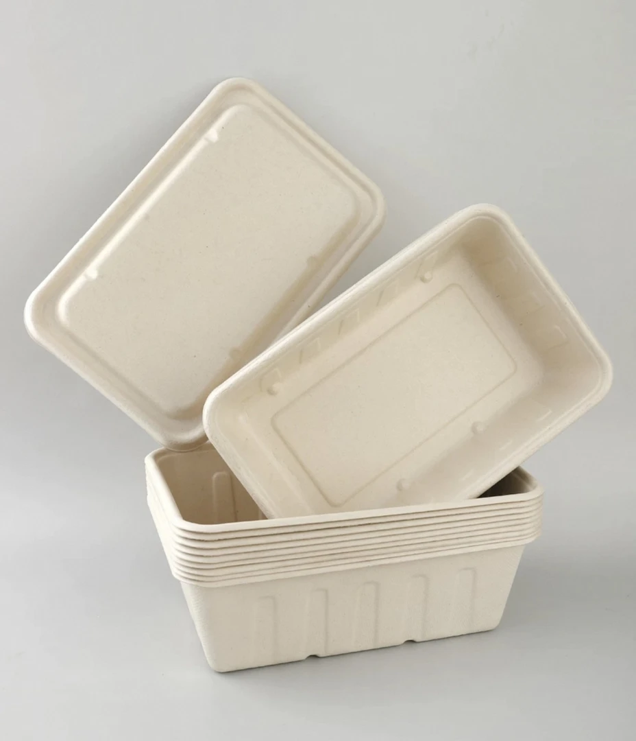 一次性餐盒环保可降解纸浆打包盒便携大容量2500（拍一发50只）