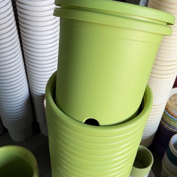 微瑕5#口径29果绿5个无托