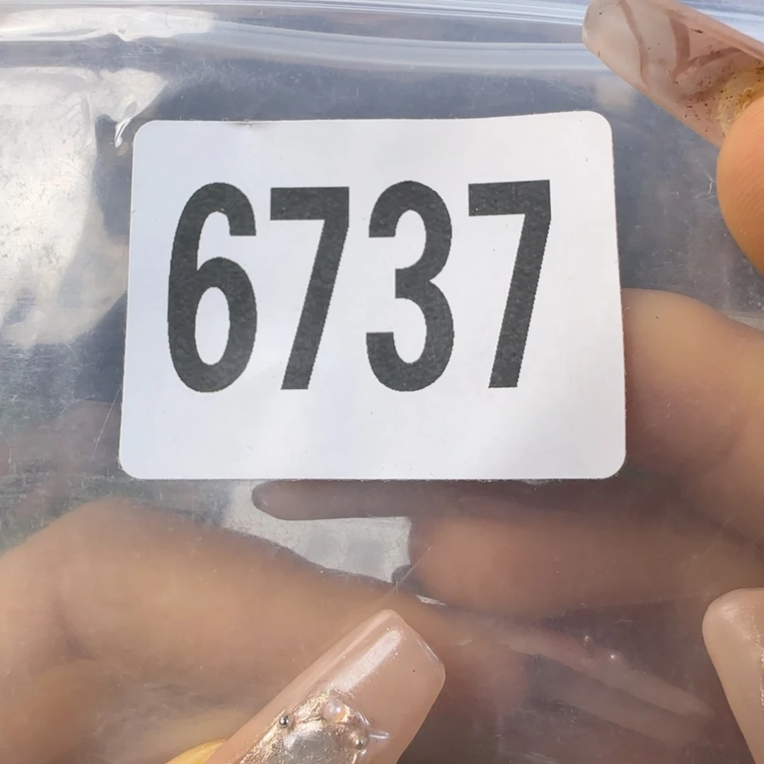 新号开播福利多多