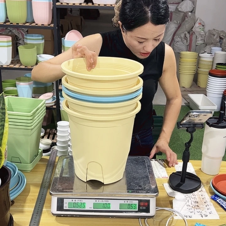 特价圆控口24高24混色无托5只