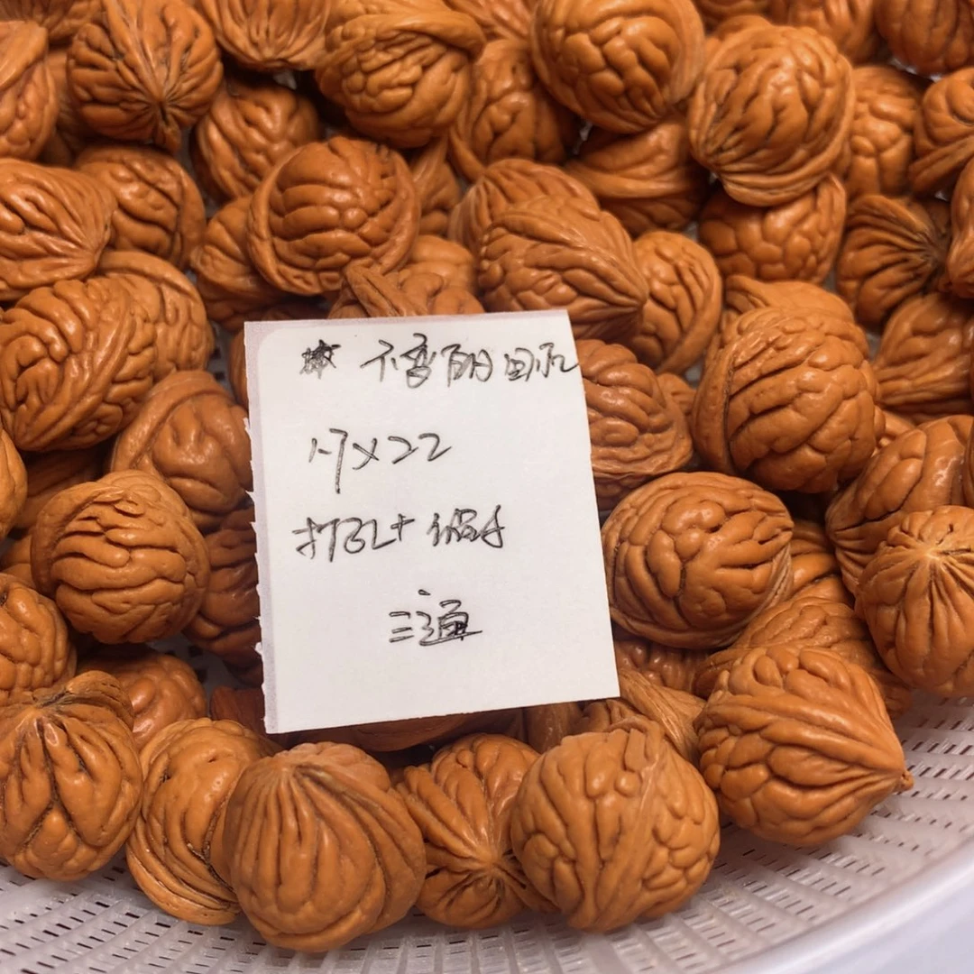 龙纹桃核霸王龙17尺