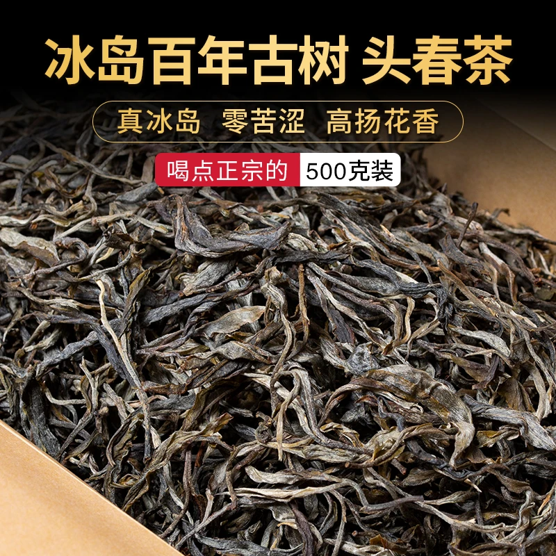 普洱生茶散茶2025冰岛生散头春古树纯料500克盒装普洱茶叶