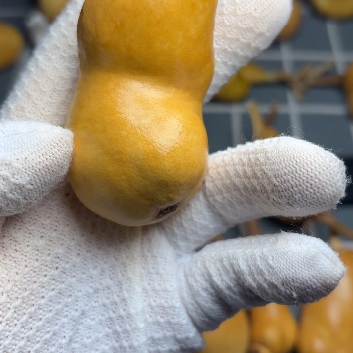 @***夫风裂6666666666666666