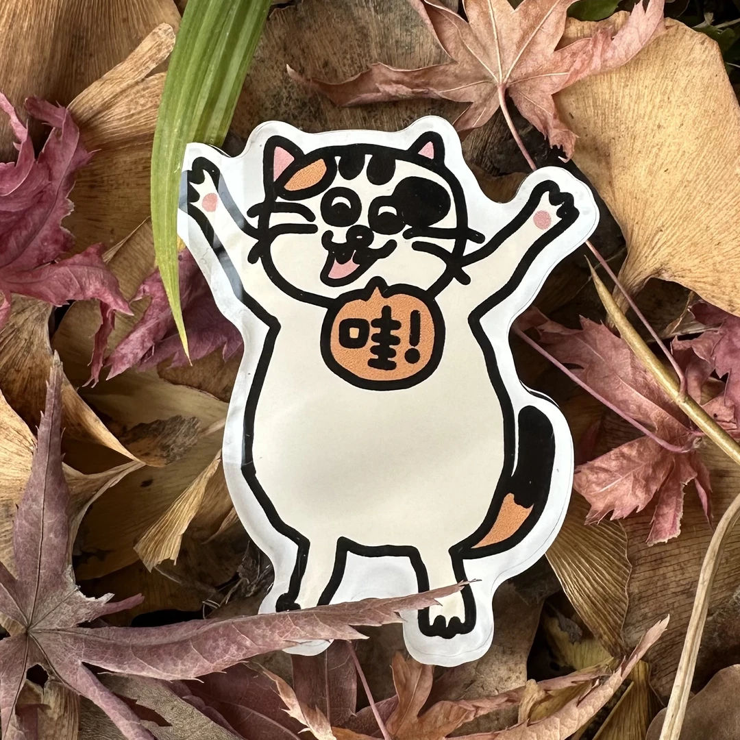 白散步原创可爱丑萌小猫冰箱贴创意装饰