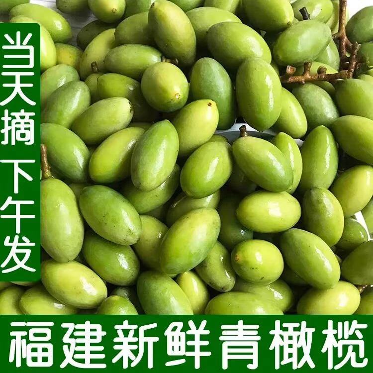 2024新鲜橄榄青橄榄果水果生青果孕妇煲汤福建檀香橄榄二号福州