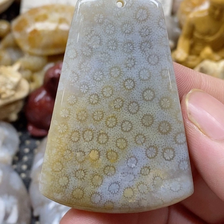 颈饰未镶嵌硅化珊瑚（珊瑚玉）