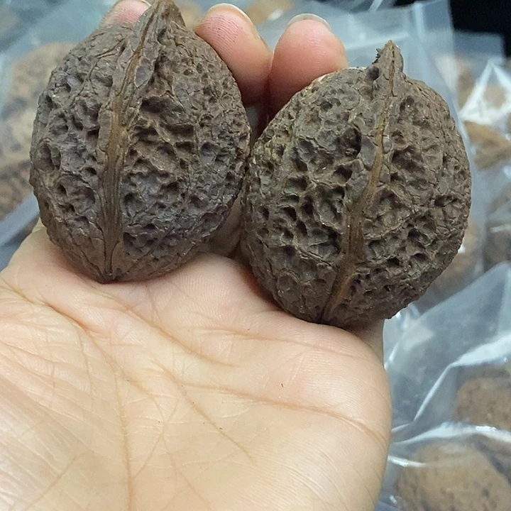 木质类云南铁核桃基地54