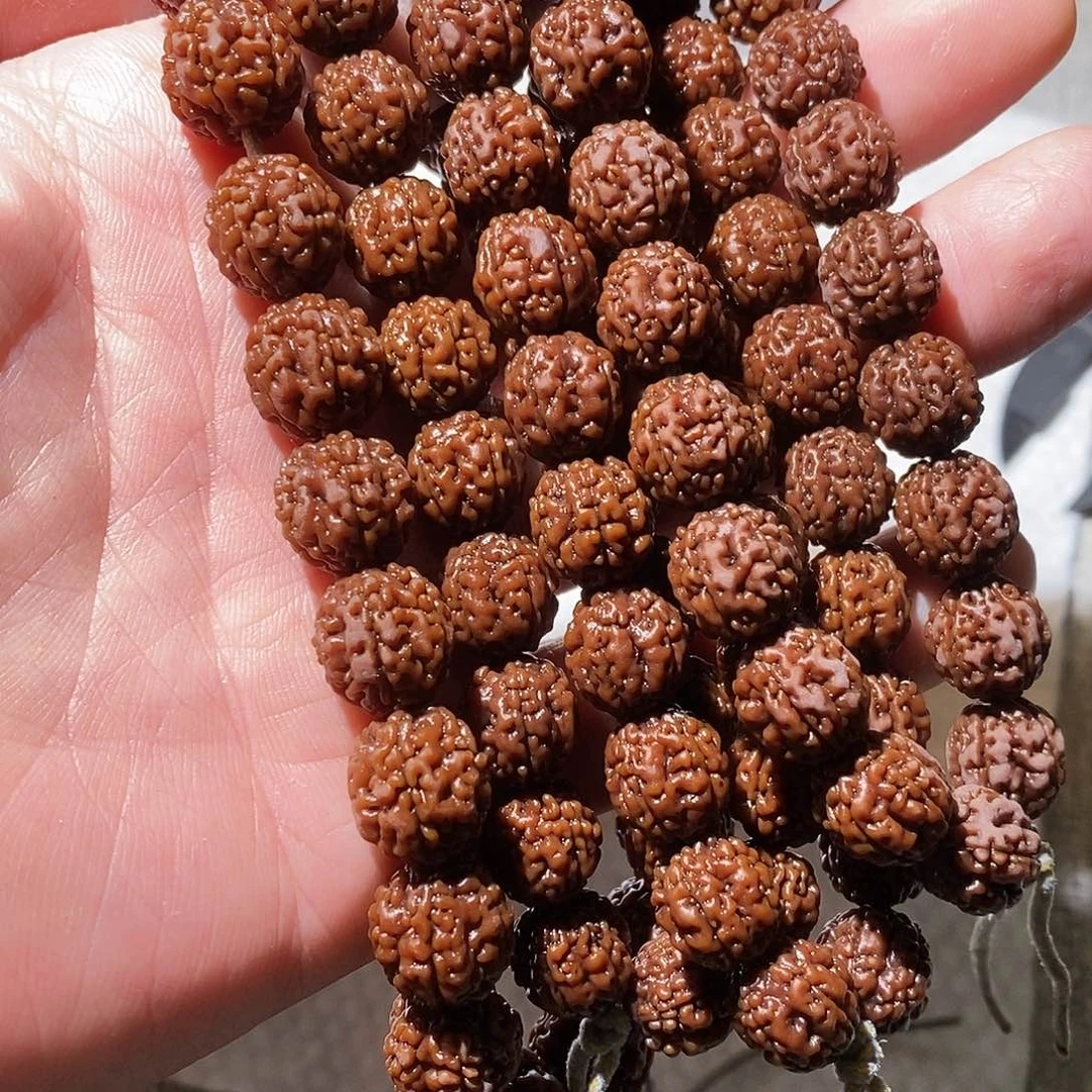 吊坠金刚菩提麦穗龙11-12单圈