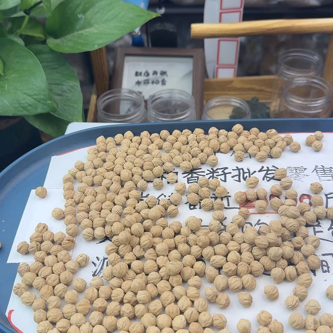 柏香籽/百香籽吊坠884号8.5+130克H8105