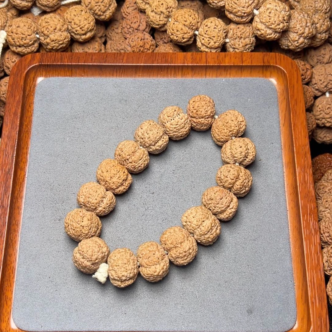 3号尼泊尔大金刚20五星熊猫菠萝蜜