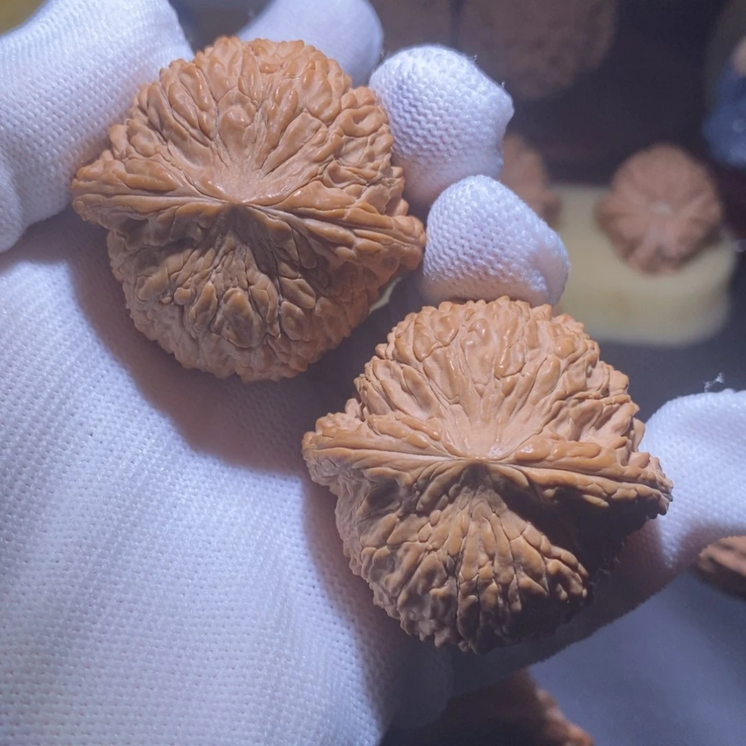 文玩核桃把件全品大克重泥鳅背45