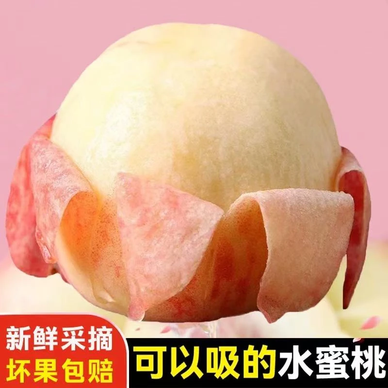 正宗水蜜桃当季新鲜水果水润香甜