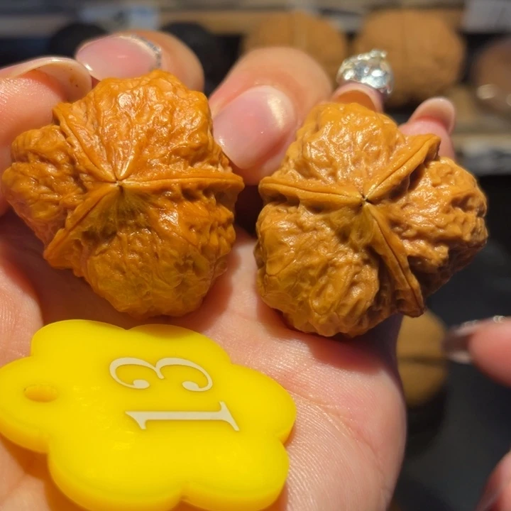 油豆三棱核桃尺寸33