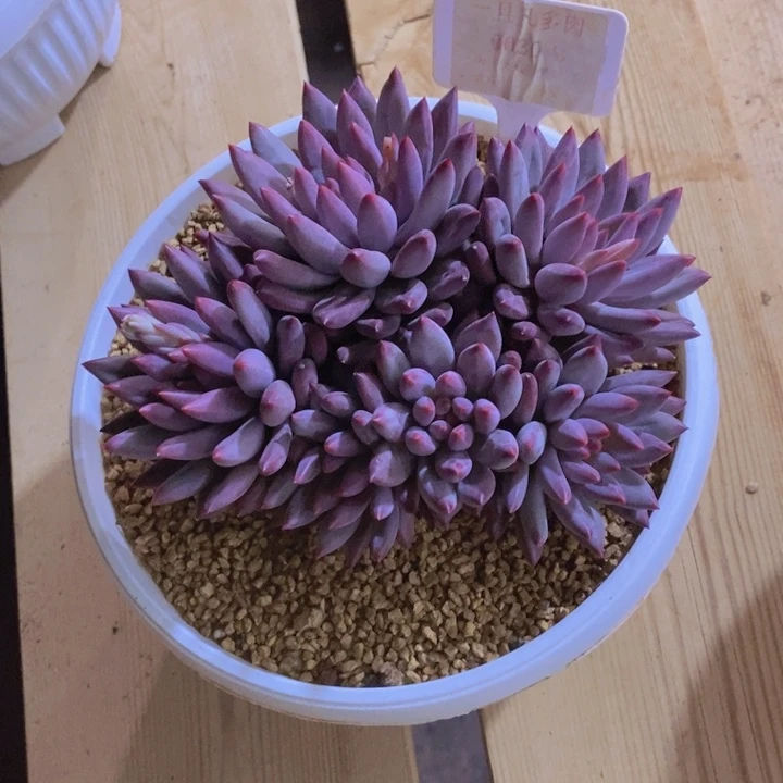 缘***缘这个我都看出来这