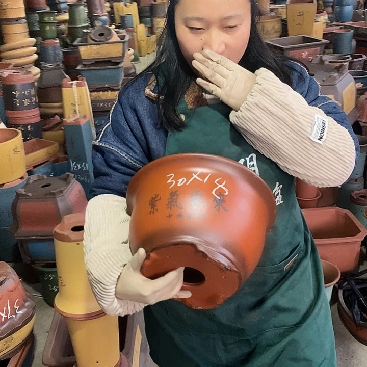 紫砂花盆紫砂花盆盆栽花卉苗木种植