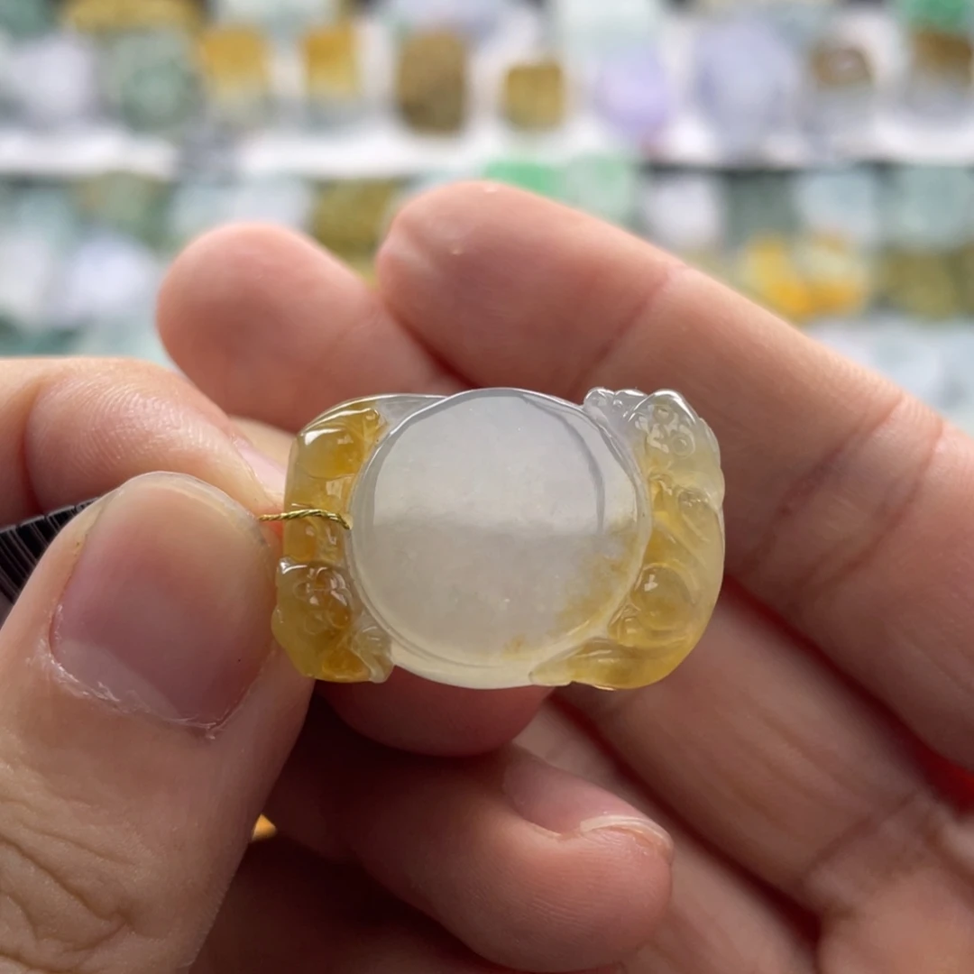 翡翠未镶嵌颈饰貔貅32